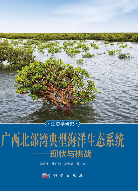 广西北部湾典型海洋生态系统：现状与挑