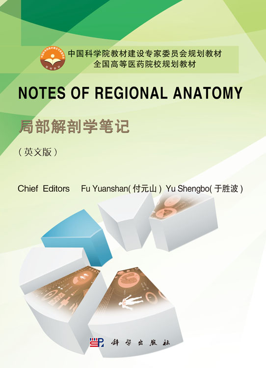 Notes of Regional Anatomy（局部解剖学笔记）