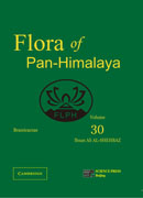 泛喜马拉雅植物志 30卷 十字花科（英文版）