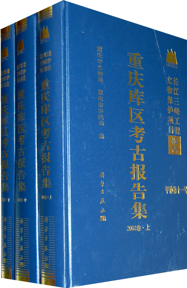 重庆库区考古报告集 2002卷 上中下册