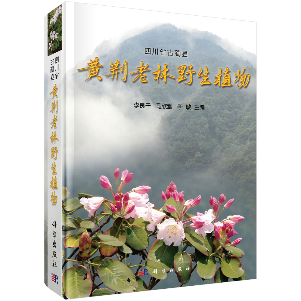 四川省古蔺县黄荆老林植物