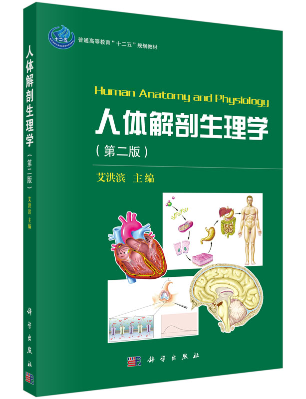 人体解剖生理学