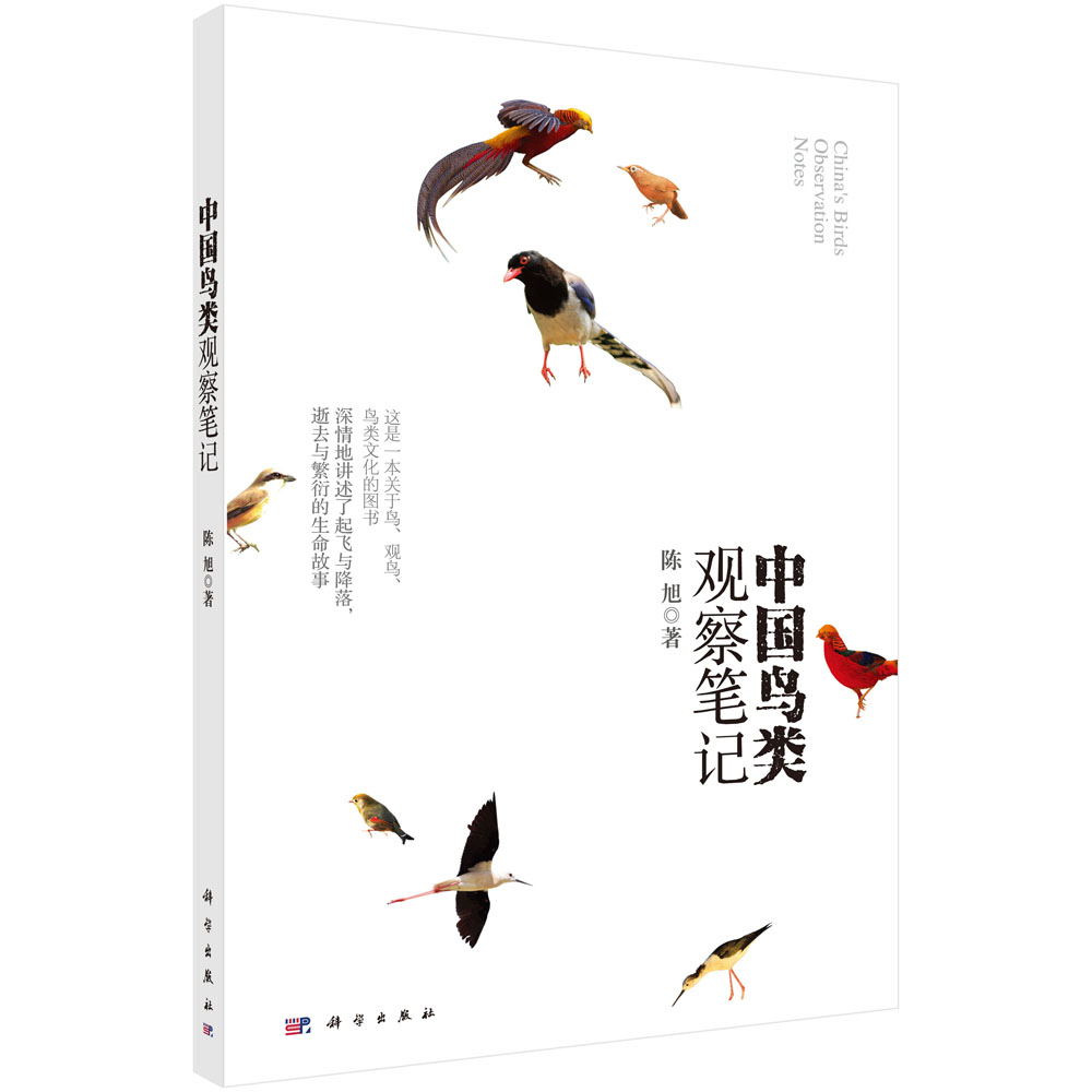 中国鸟类观察笔记