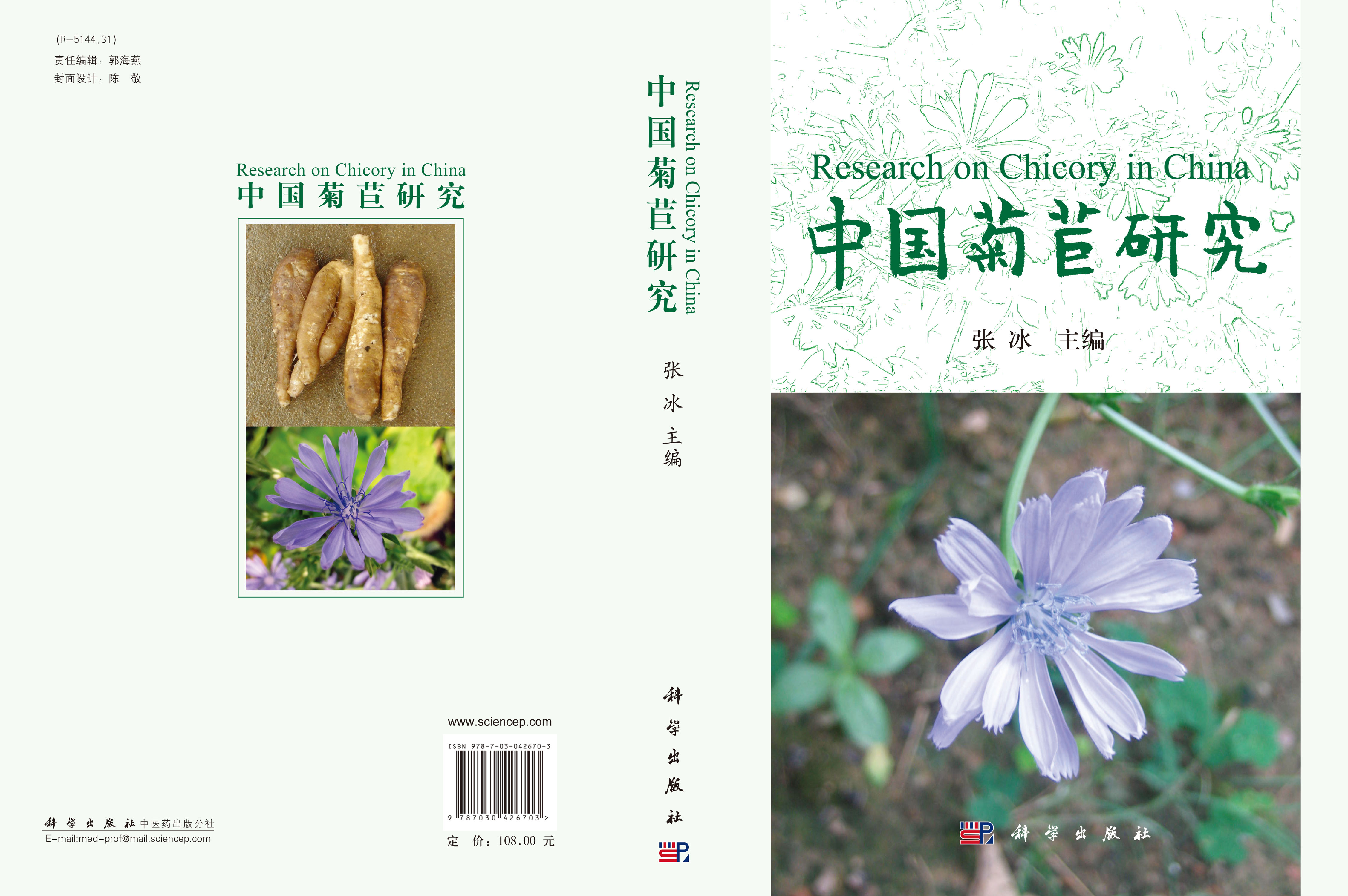 中国菊苣研究