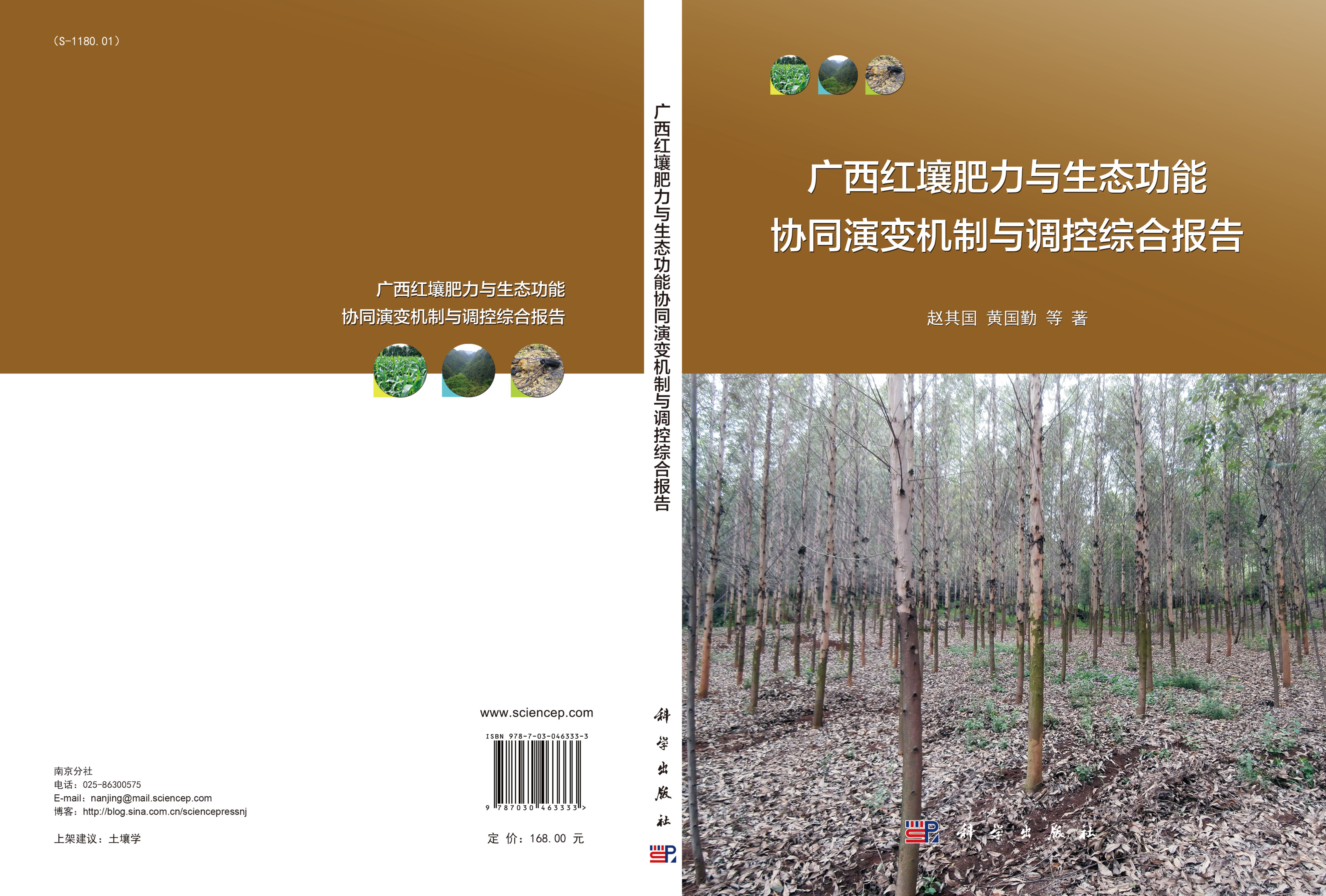 广西红壤肥力与生态功能协同演变机制与调控综合报告