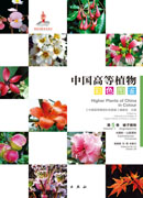 中国高等植物彩色图鉴 第5卷 被子植物 大戟科-山茱萸科