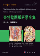 奈特绘图版医学全集——第5卷：泌尿系统（第2版）（中文翻译版）