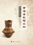 青海省彩陶文物保护修复报告