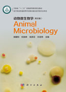 动物微生物学（英文版）