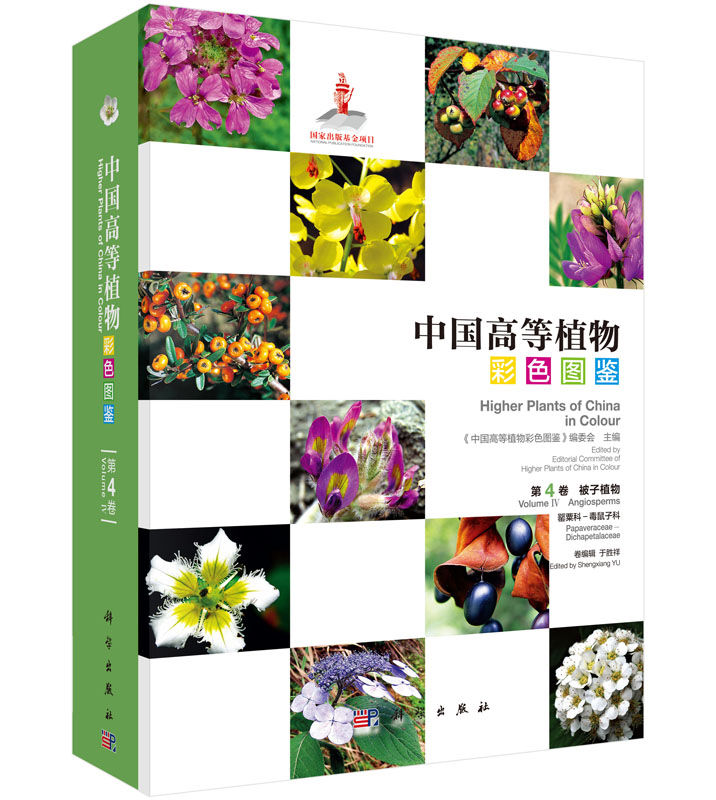 中国高等植物彩色图鉴 第4卷 被子植物 罂粟科-毒鼠子科