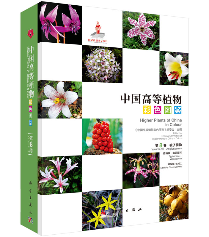 中国高等植物彩色图鉴 第8卷 被子植物 香蒲科-翡若翠科