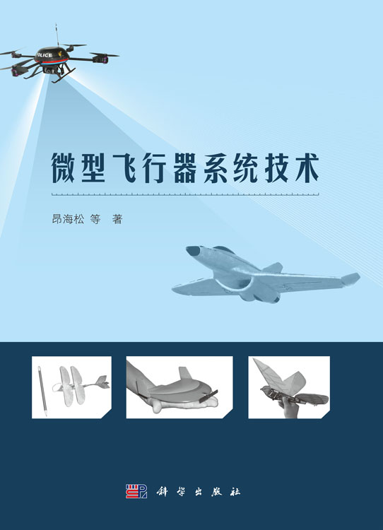 微型飞行器系统技术