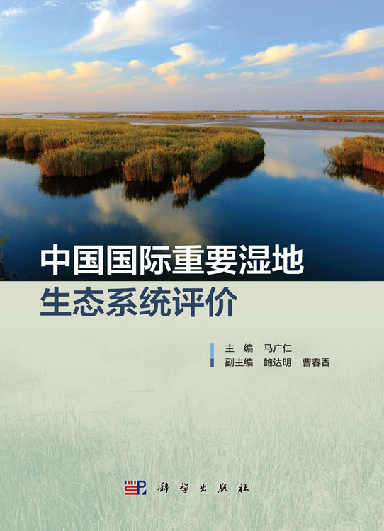 中国国际重要湿地生态系统评价