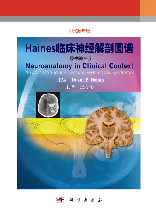 Haines临床神经解剖图谱（第9版）