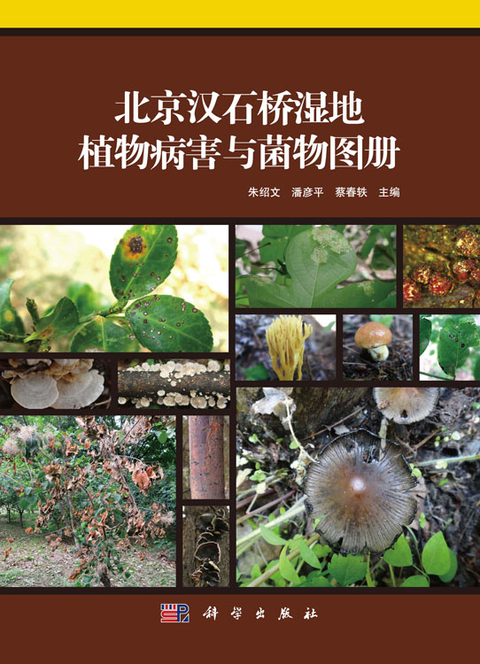 北京汉石桥湿地植物病害与菌物图册