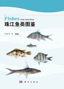 珠江鱼类图鉴