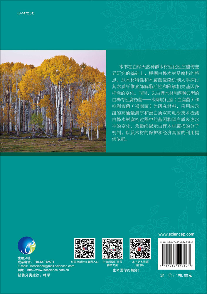 白桦种群的材性变异与木材腐朽分子机理探析