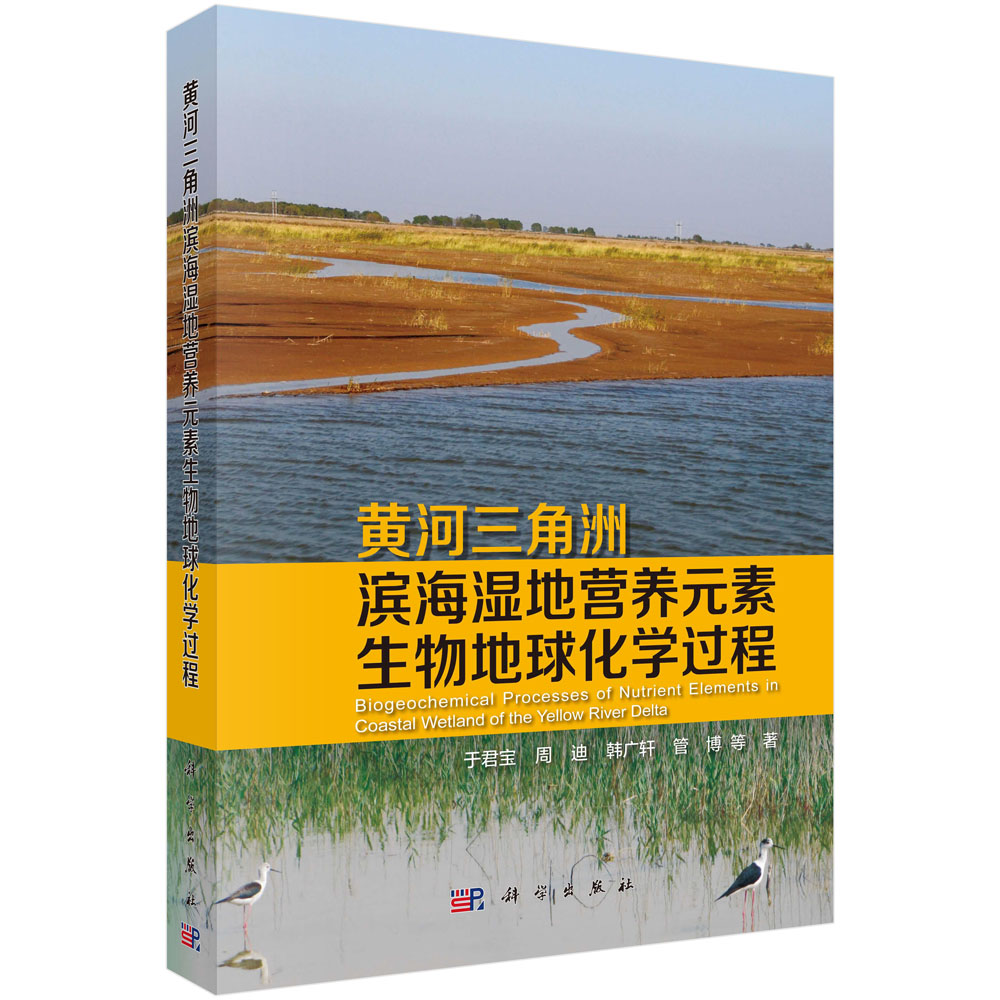 黄河三角洲滨海湿地营养元素生物地球化学过程