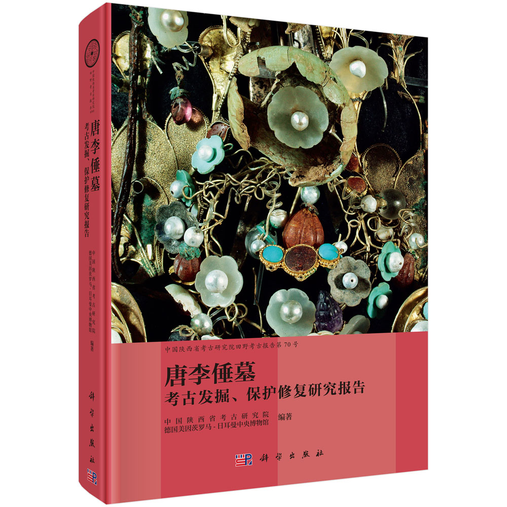 唐李倕墓——考古发掘、保护修复研究报告
