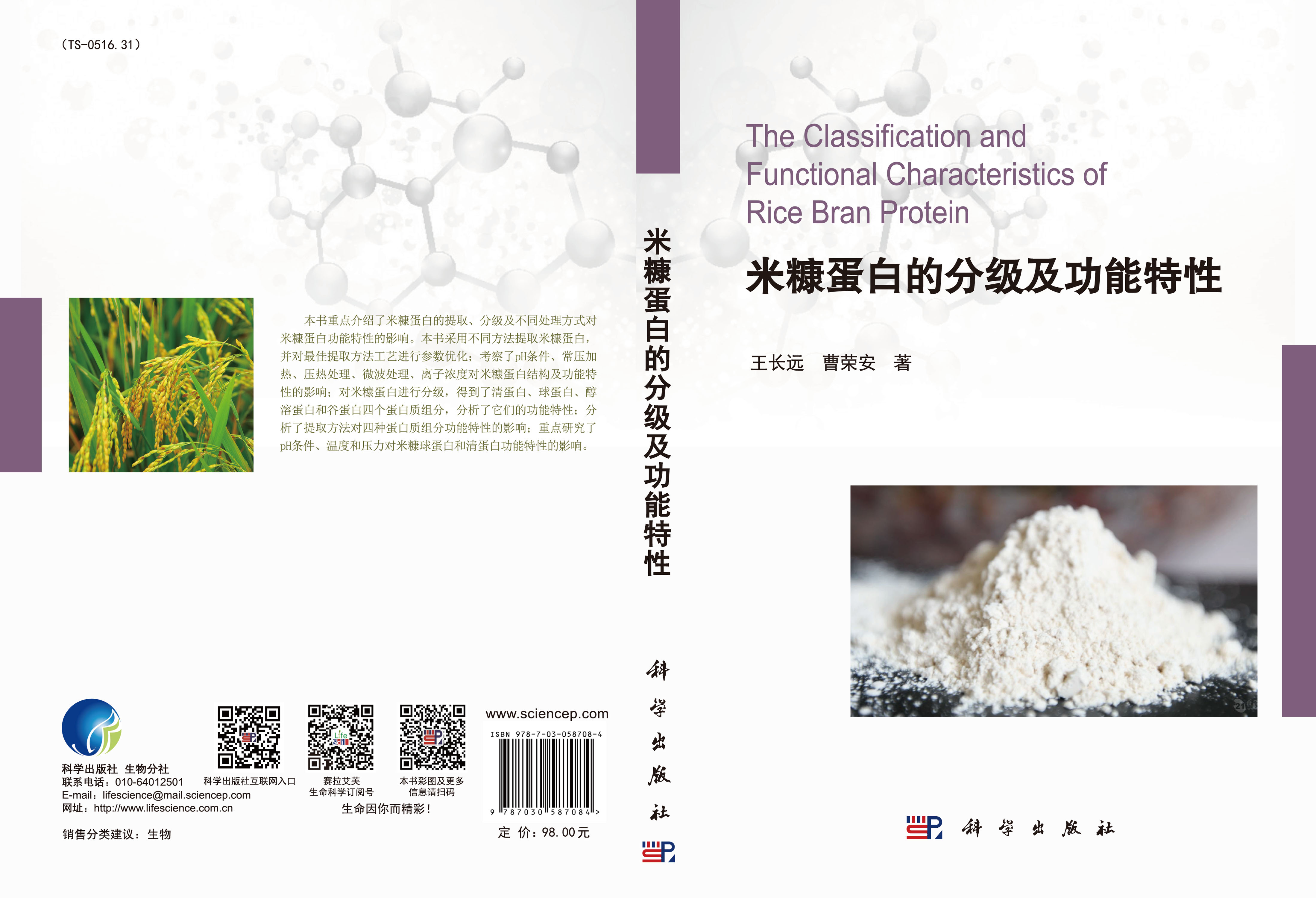 米糠蛋白的分级及功能特性