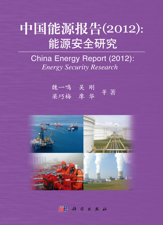 中国能源报告（2012）：能源安全研究