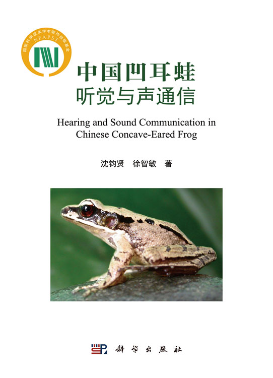 中国凹耳蛙——听觉与声通信