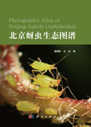 北京蚜虫生态图谱