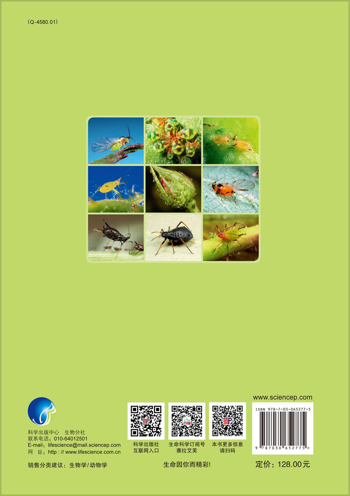 常见蚜虫生态图鉴