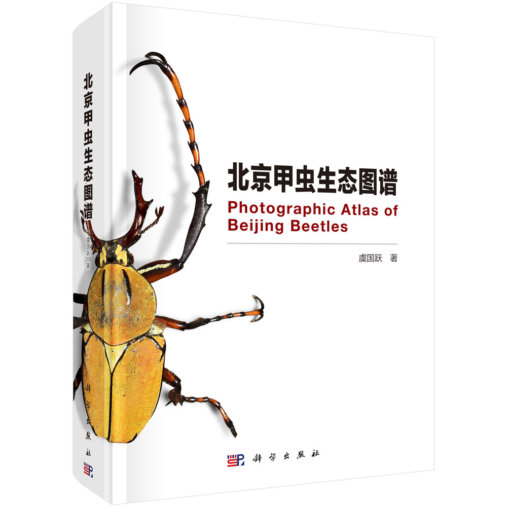 北京甲虫生态图谱