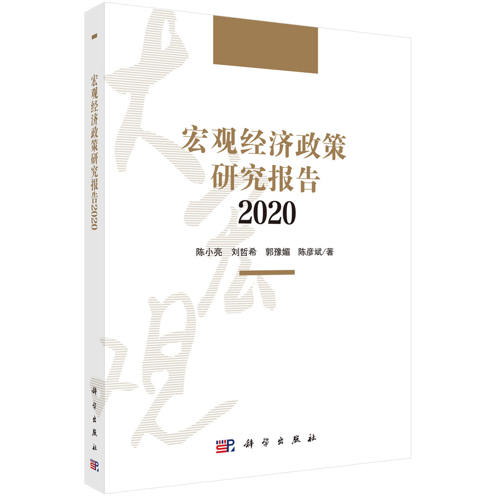 宏观经济政策研究报告.2020