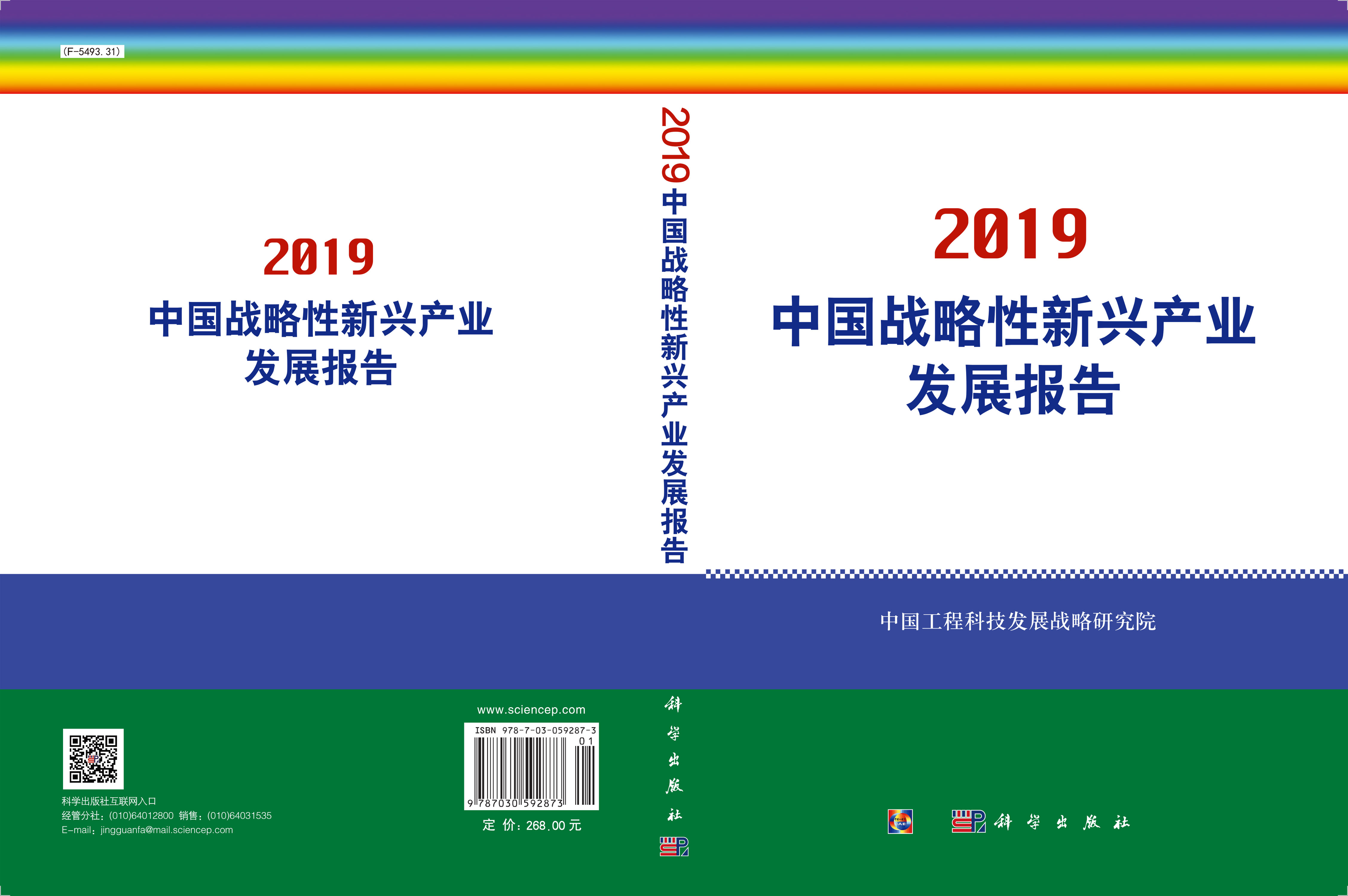 中国战略性新兴产业发展报告2019