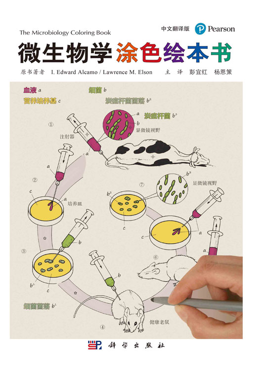 微生物学涂色绘本书（中文翻译版）
