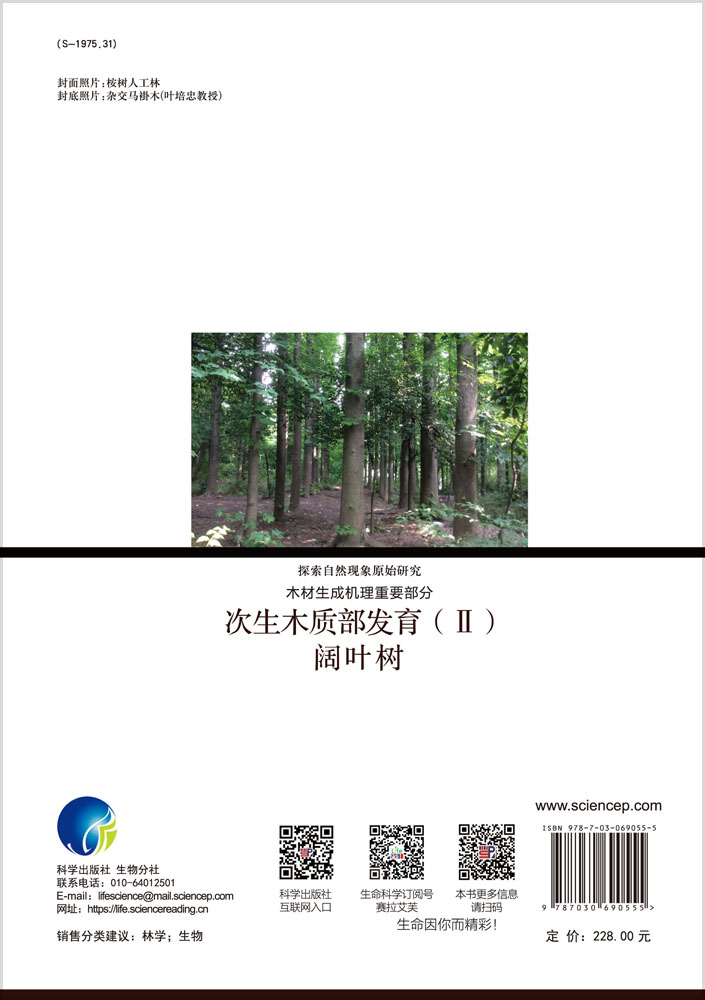 次生木质部发育（Ⅱ）阔叶树