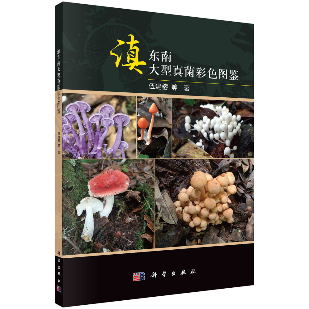 滇东南大型真菌彩色图鉴