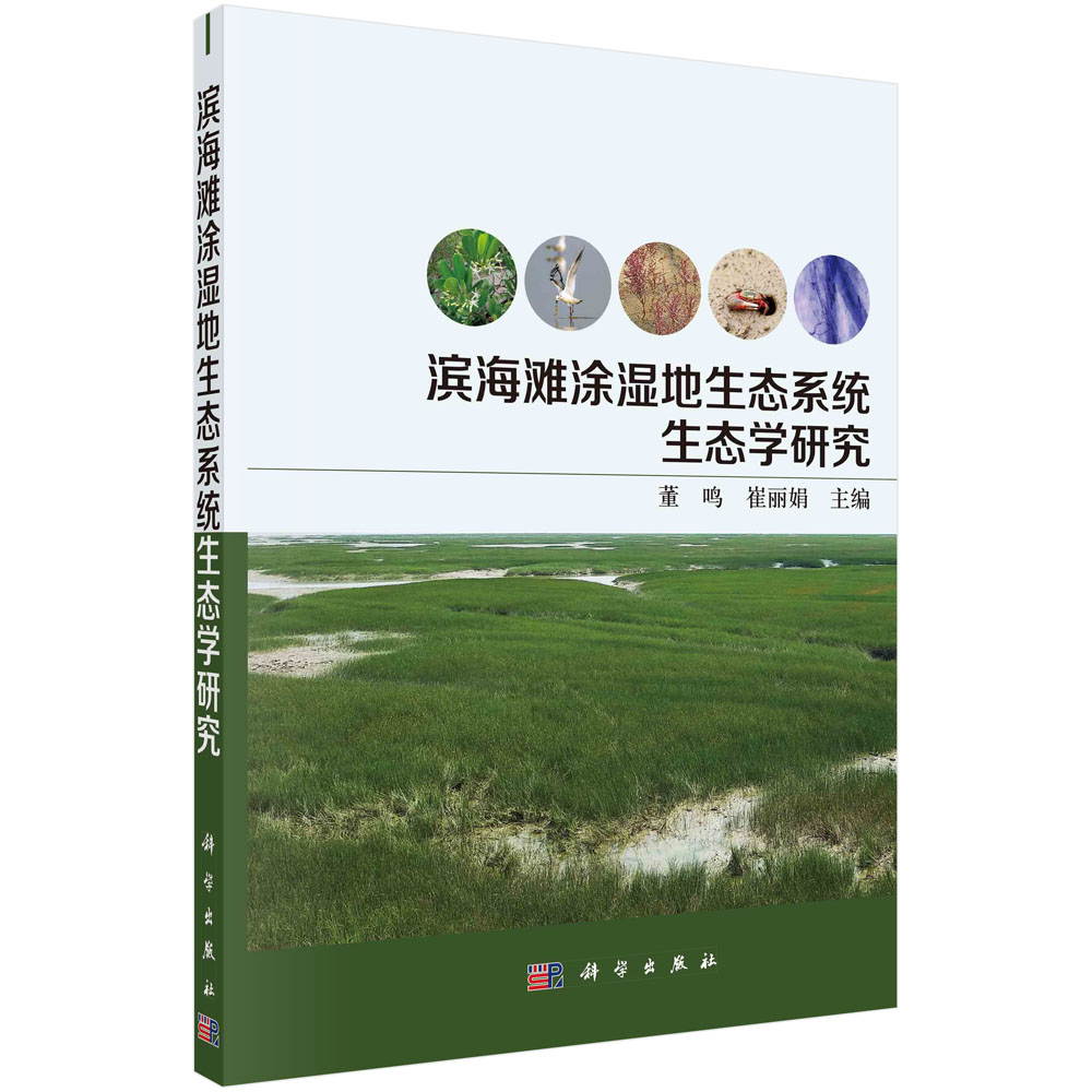 滨海滩涂湿地生态系统生态学研究
