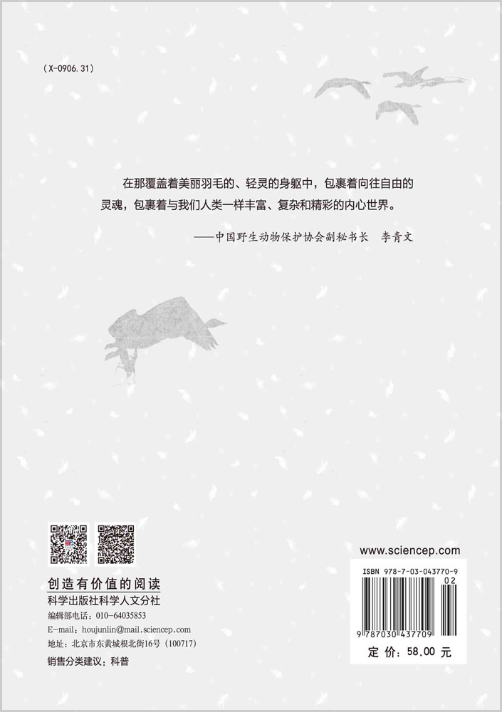 天鹅之痛：中国野生鸟类行摄手记（修订版）