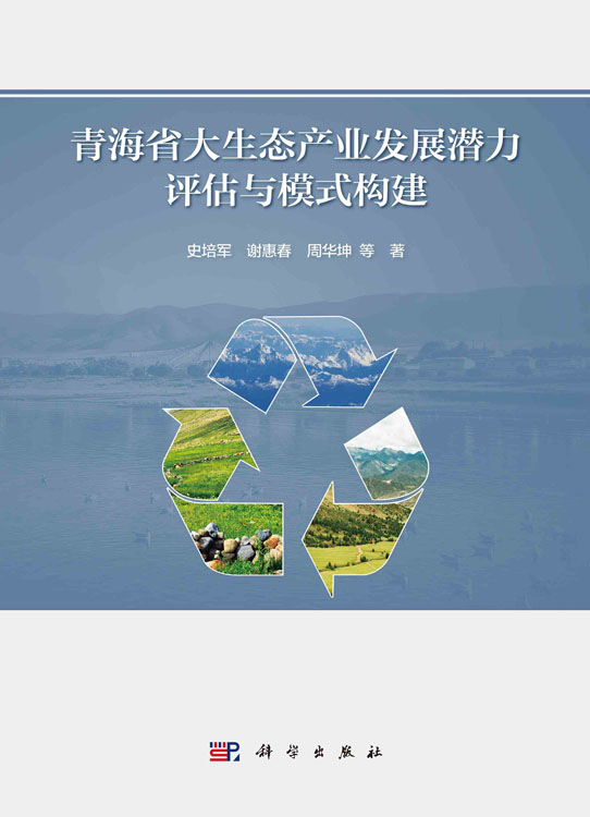 青海省大生态产业发展潜力评估与模式构建