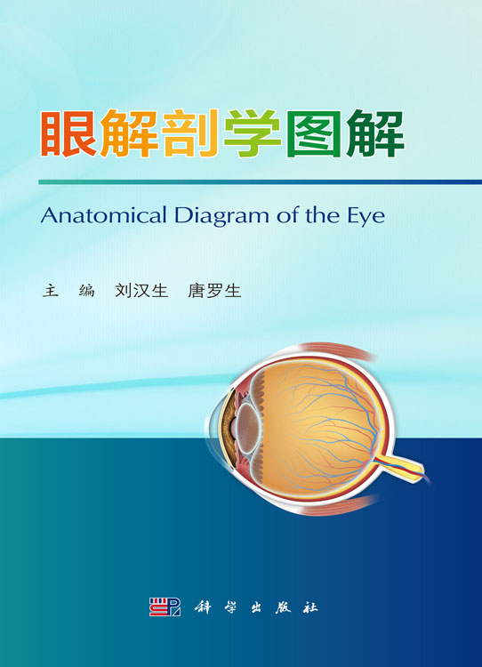 眼解剖学图解