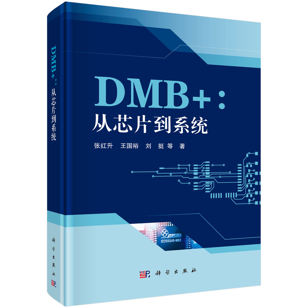 DMB+：从芯片到系统