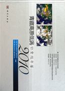青藏高原低涡切变线年鉴（2010）