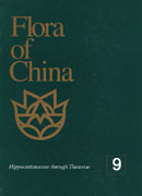 中国植物志第九卷（英文版）