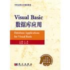 Visual Basic数据库应用