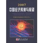 2007中国经济预测与展望