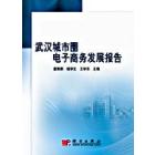 武汉城市圈电子商务发展报告