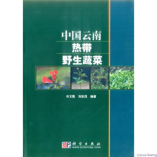 云南热带野生蔬菜