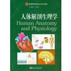 人体解剖生理学