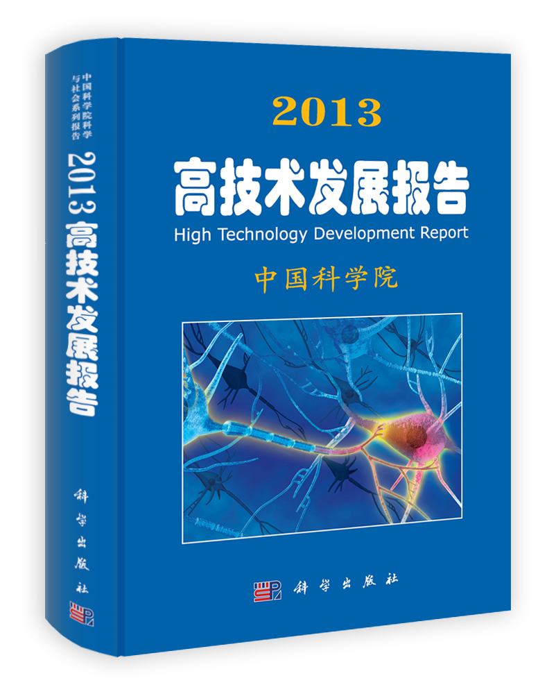 2013高技术发展报告