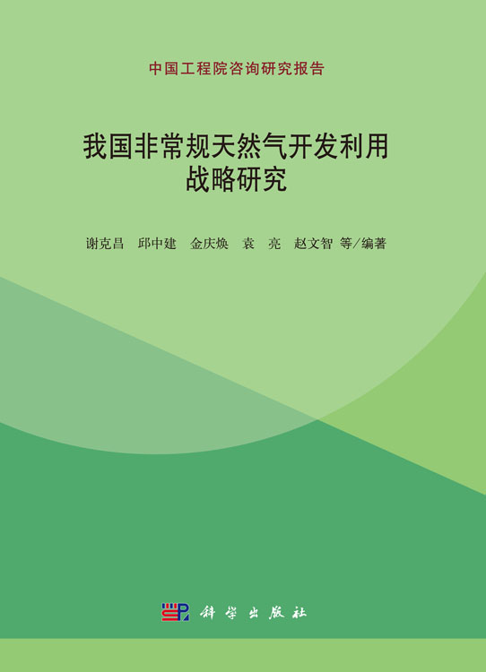 我国非常规天然气开发利用战略研究