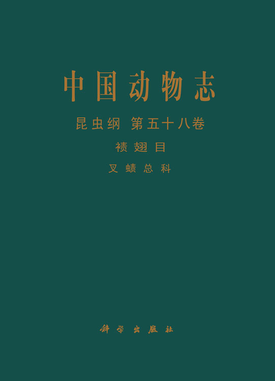 中国动物志 昆虫纲 ?翅目 叉（虫责）总科