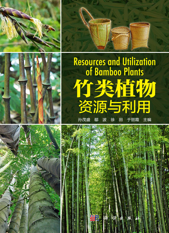 竹类植物资源与利用